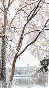 株洲市神农公园雪景