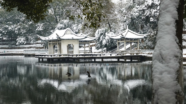 株洲市神农公园雪景