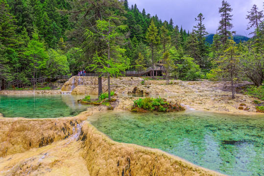 黄龙盆景池