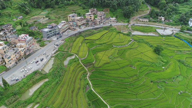 元阳梯田