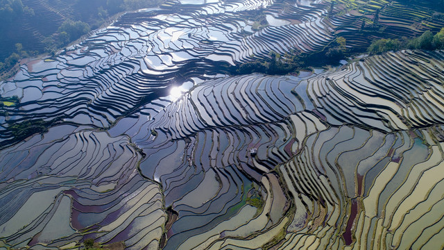 元阳梯田