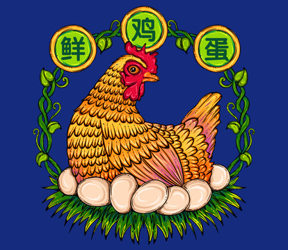 母雞孵蛋插圖