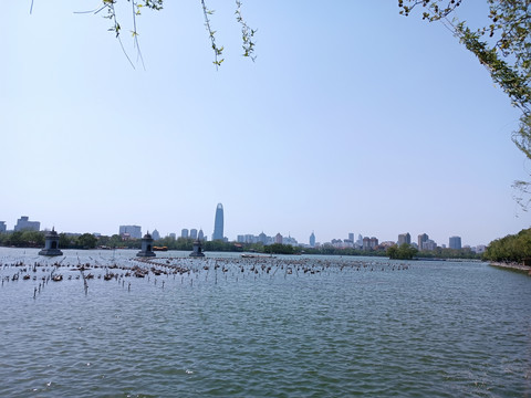 济南大明湖建筑群远景