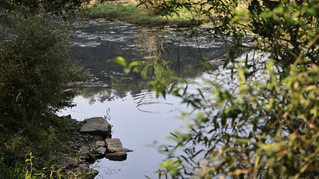 钱河湿地