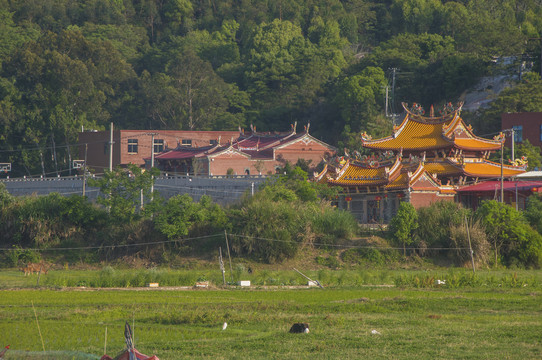 闽南乡村寺庙祠堂风景