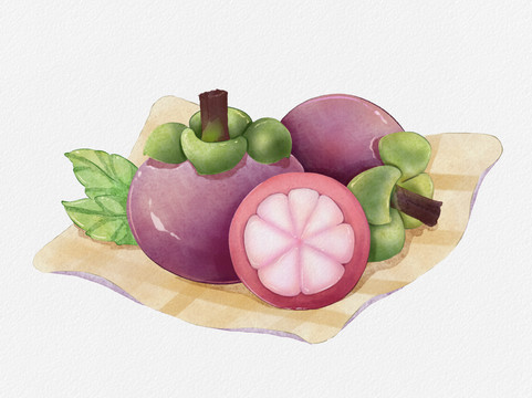 手繪山竹插畫