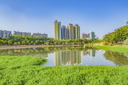 从化流溪河