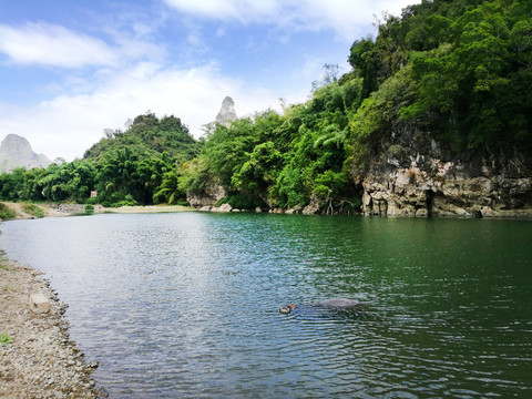 青山绿水