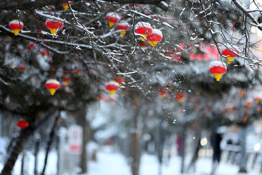 雪中街景