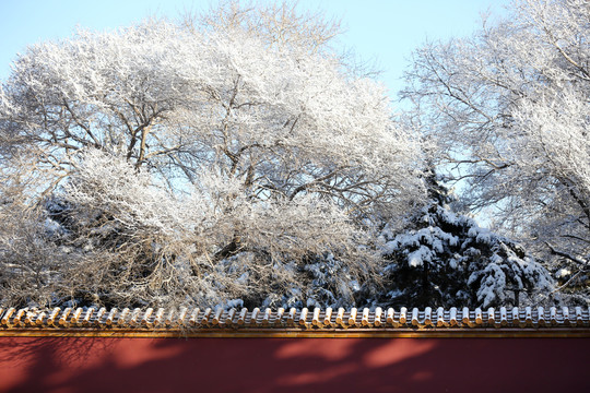 雪中红墙