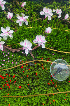 植物墙花墙