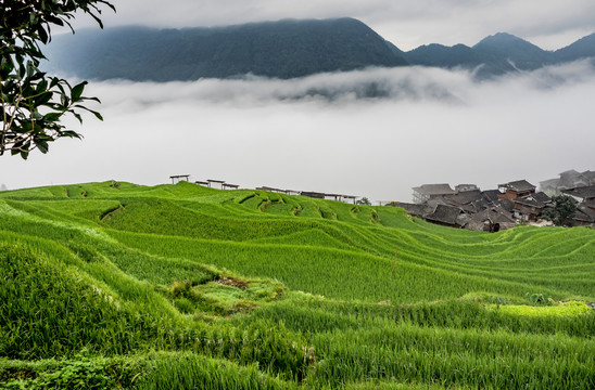 贵州加榜风光