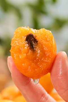 新疆小红杏