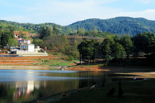 跑地鸡