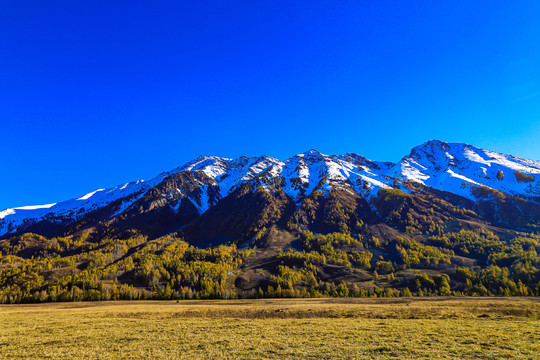 新疆高山雪景