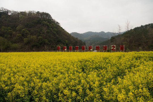 钱河湿地