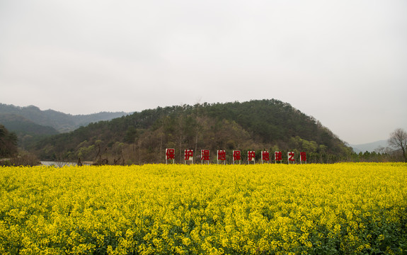 钱河湿地