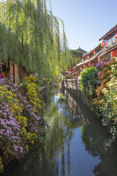 云南丽江古城街景