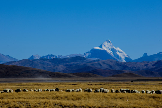 纳木那尼雪山