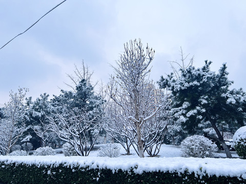 都市雪景