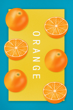 手绘噪点肌理橙子插画