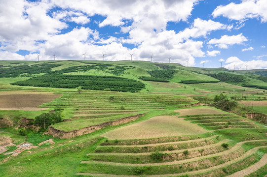 中国河北围场塞罕坝草原风景