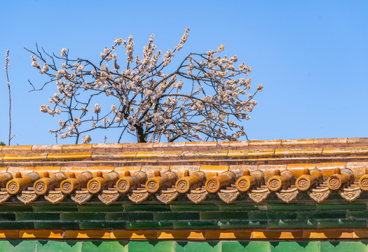 北京故宫的建筑风景