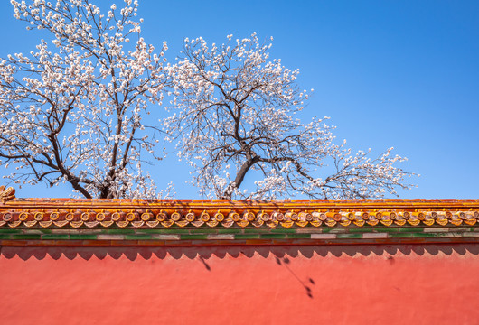 北京故宫的建筑风景