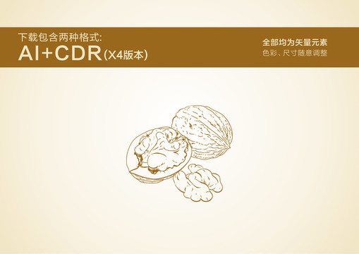 核桃手繪核桃插畫核桃線稿