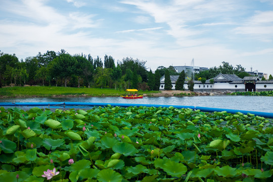 城市湖畔自然风光