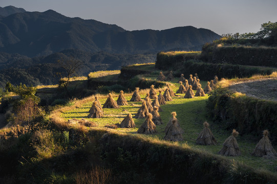 北山村梯田