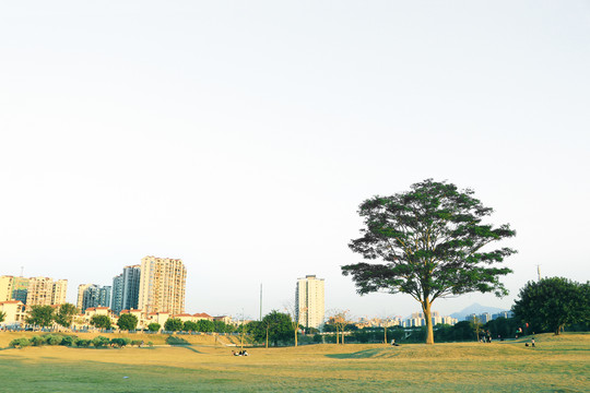 小区风景