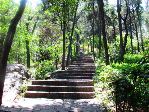 云龙山山路