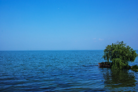 云南昆明滇池湿地