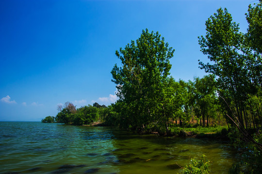 云南昆明滇池湿地