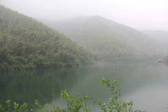 南山竹海