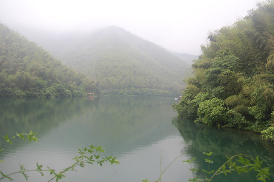 南山竹海