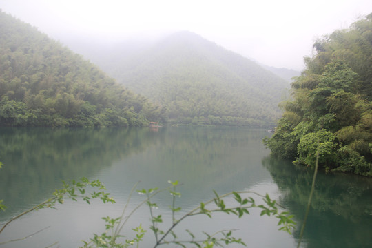 南山竹海