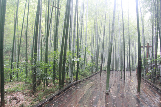 南山竹海
