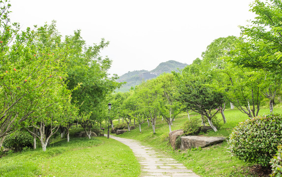 園林林蔭道