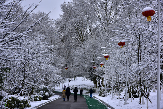 贵阳观山湖雪景