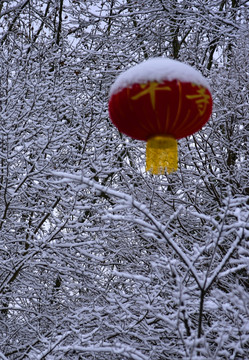 贵阳观山湖雪景