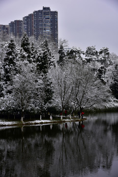 贵阳观山湖雪景