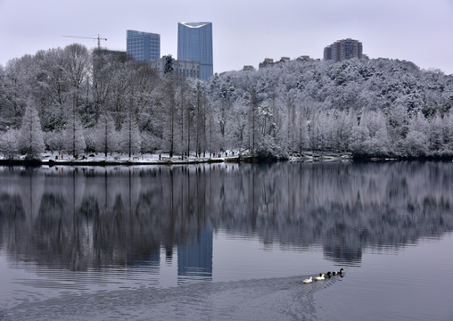 贵阳观山湖雪景