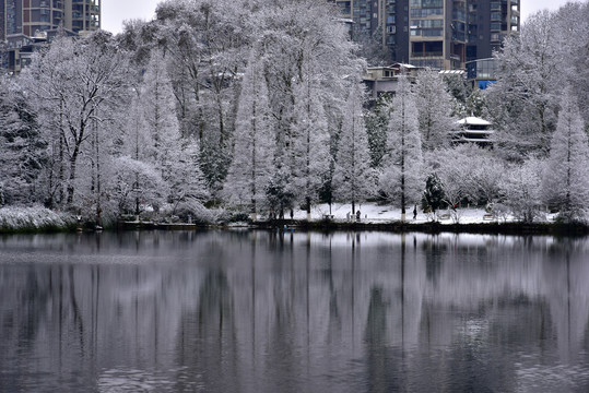 贵阳观山湖雪景