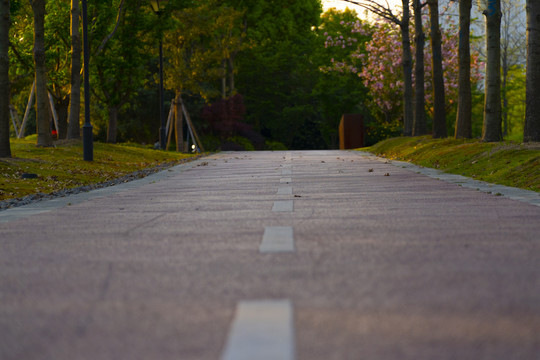 林间步道