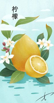 柠檬手绘