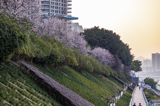 嘉陵江江岸人行步道