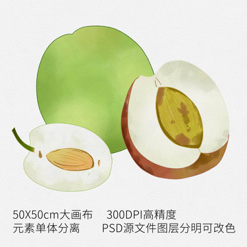手繪冬棗