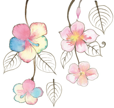 五瓣花圖